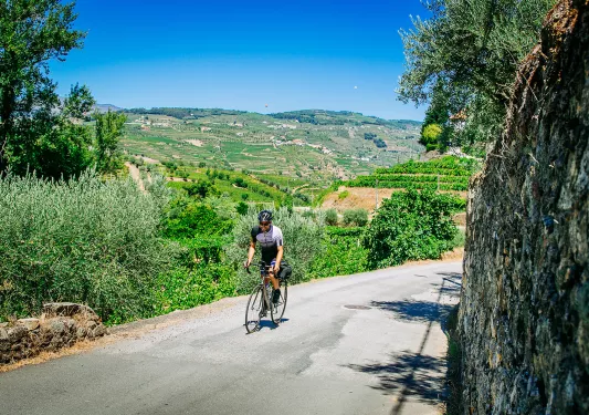 Biker riding on a road along the Douro River.