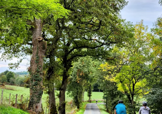 Two Backroads Guests Biking