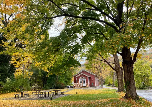 Small red café surrounded by green and yellow trees.