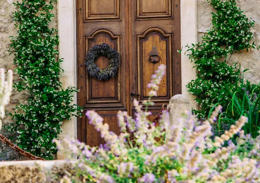 Door with Plants