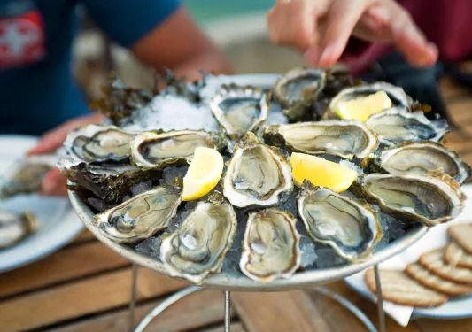 Close-up of oyster platter.
