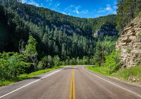 A scenic route with trees and mountains in the background 