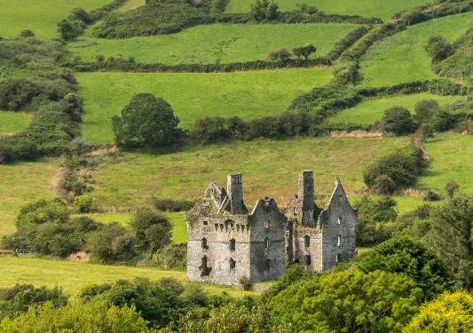 Estate Ireland