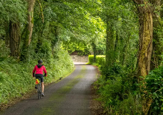 Cycling Forest Ireland