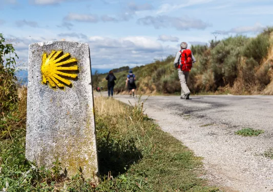 The Yellow Scallop Shell Signing the Way to Santiago de Compostela on the St James Pilgrimage Route