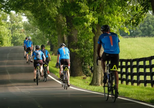 Group of guests cycling down shaded forest road.