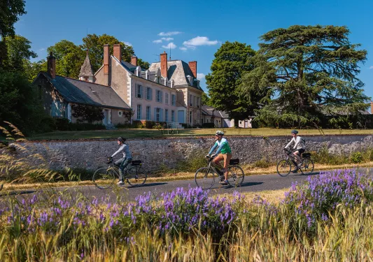 Three guests cycling past French estate, lavender bushes all around.