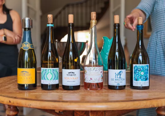 Shot of line up of different wines.