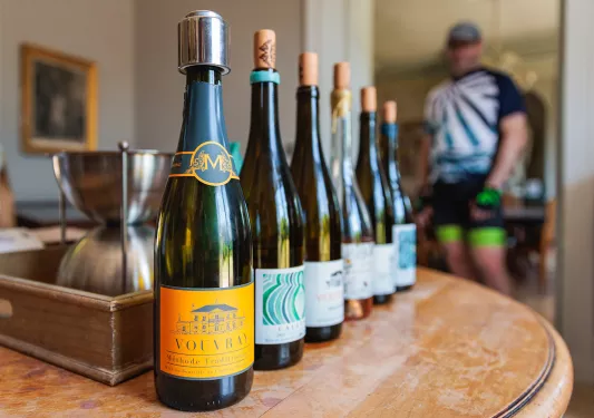 Shot of line up of different wines, guest behind.