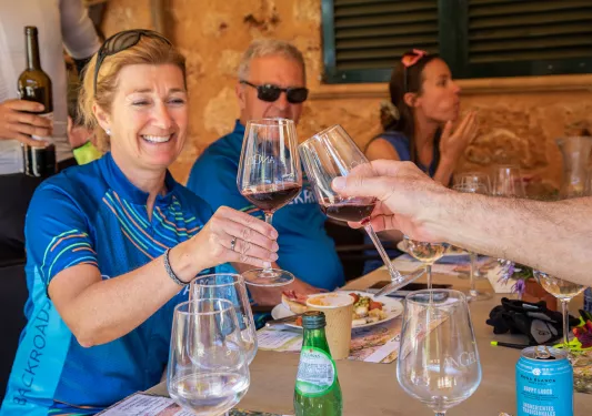 People saying cheers with glasses of red wine.