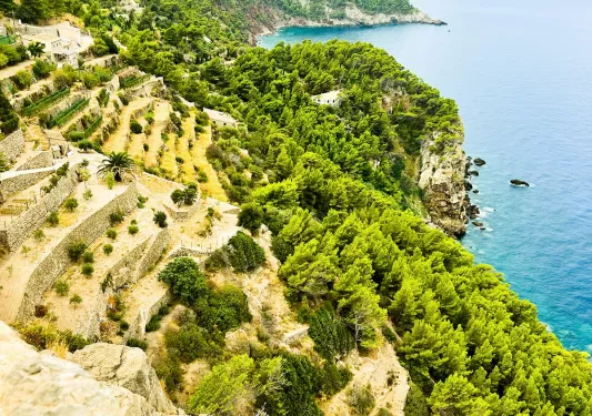 steep cliff leading down to ocean