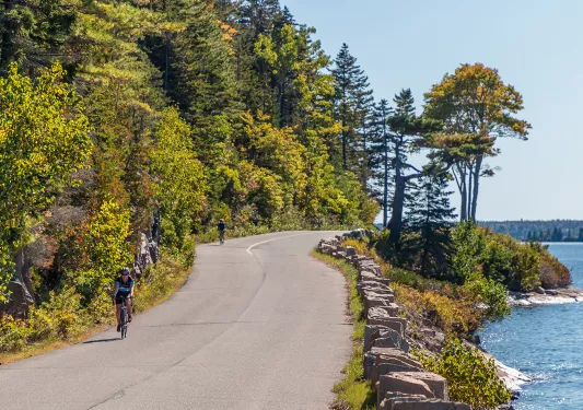 Guest biking along coastal road, trees on their right.