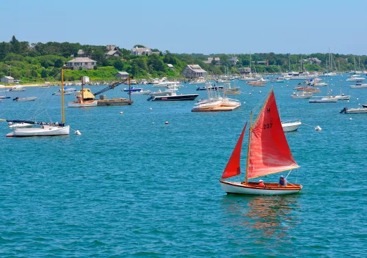 Wide shot of a bay full of sailboats.