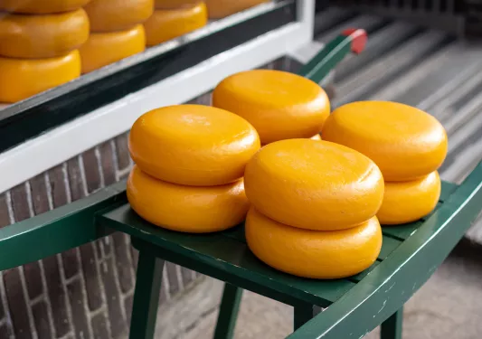 Cheese wheels