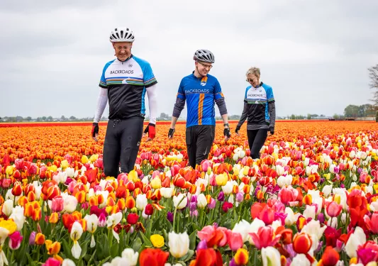 Guests walking in tulip field
