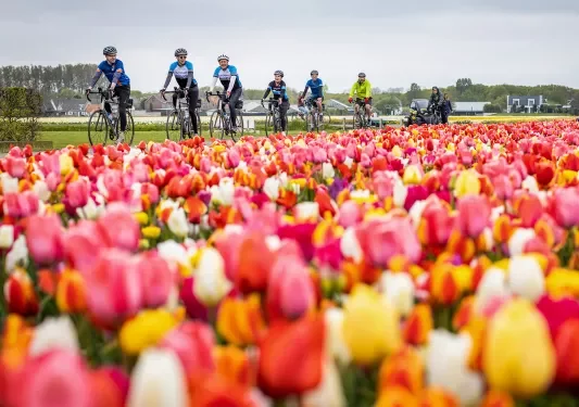 cycling trips holland