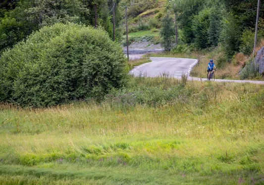 Small boat beached on a sandy shore beside a grassy field