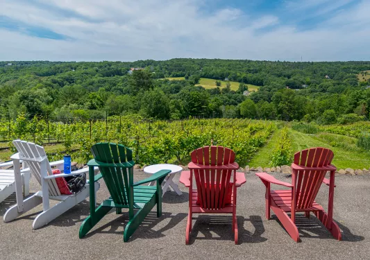Four seats facing out towards a vineyard and forest.