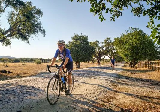 Guests cycling down sandy road past golden meadow, trees.