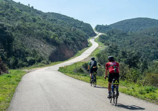 Backgrounds guests biking up hill in Portugal.