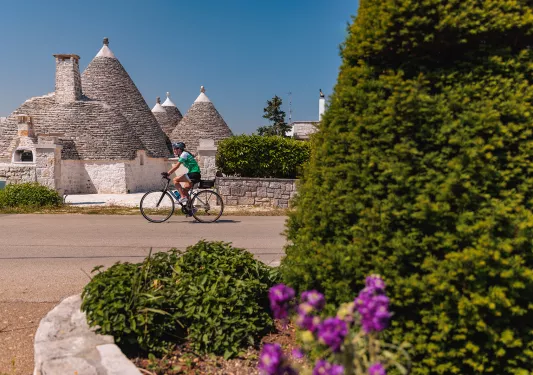 Guest biking in Alberobello, large bush obscuring half the shot.