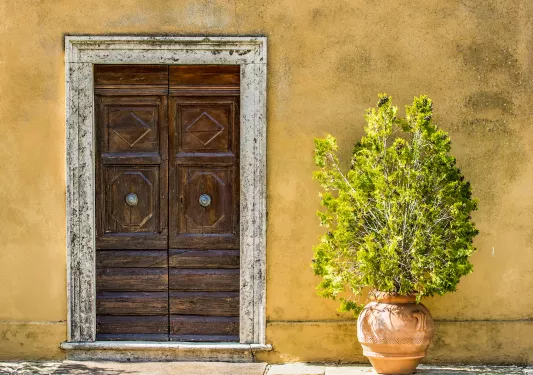 Shot of housefront. Yellow wall, bush, wooden door.