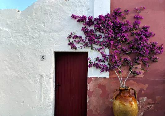Close-up of building, white and red walls, red door and purple flowers visible.