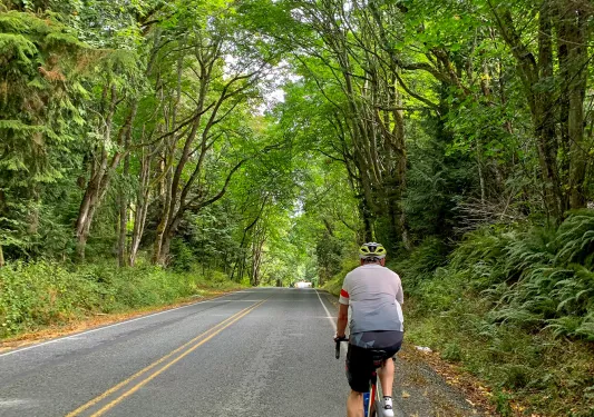 Guest cycling down forest-covered road.