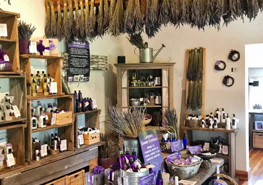 Shot of lavender shop.