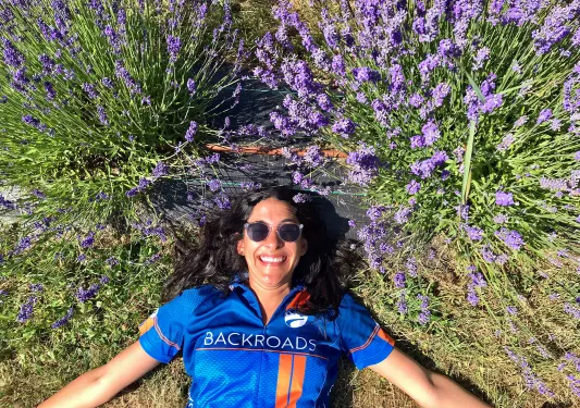 Guest laying among lavender bushes.