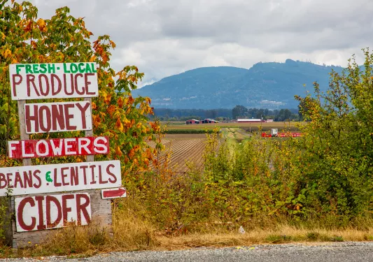 "LOCAL PRODUCE" sign, crops and farm in background.