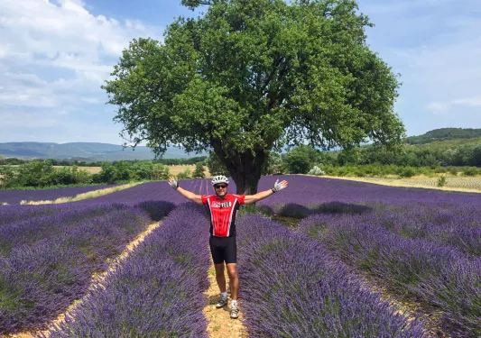 Backroads Guest in Lavender Field