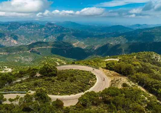Two guests cycling down road on tree-filled vista.