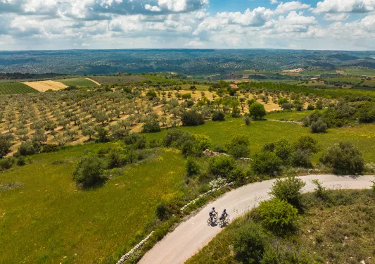 Bird's eye shot of two guests cycling in Medit. wine country.