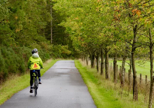 Cyclist riding e-bike down road.
