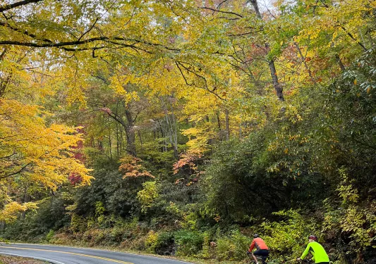 Two guests biking down rainy forest road.