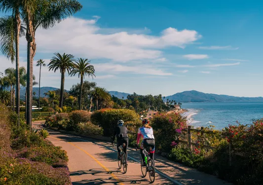 Guests biking along California coast, palm trees beside them.