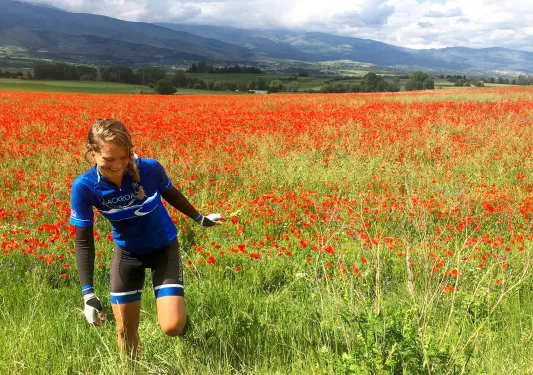 Young guest walking through red-flower meadow.