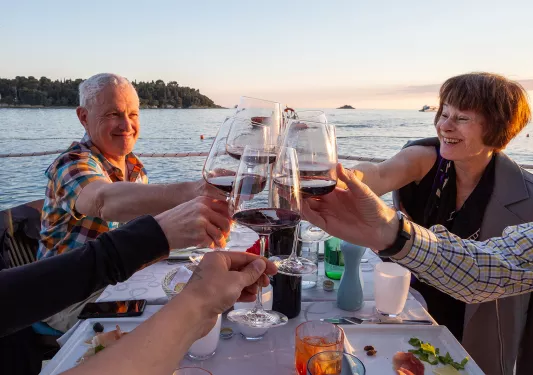 POV shot of guests cheersing wine glasses, ocean, hills behind them.