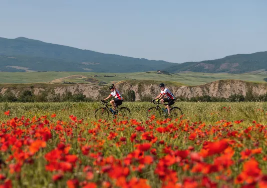 Guests cycling in front of red flower bushes, hills in distance.
