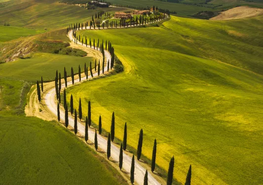 Bird's eye shot of tree-lined road, towards small countryside house.