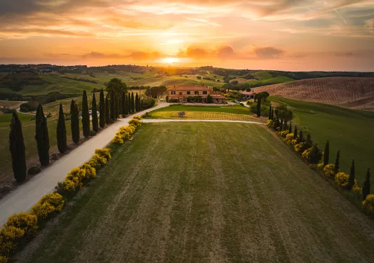 Wide shot of countryside villa, meadow, trees, sunset.