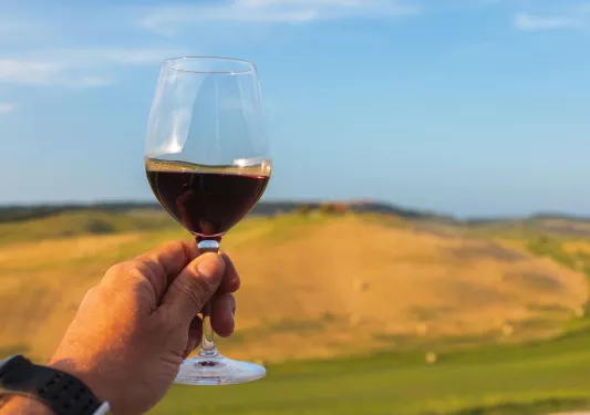 Point of view shot of Italian countryside, wine glass in hand.
