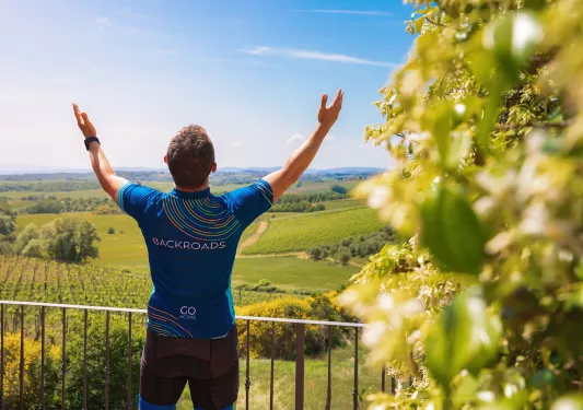 Guest rejoicing over grapevines, sunlight.