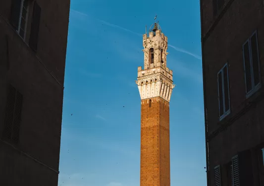 Shot of alleyway, clock tower.