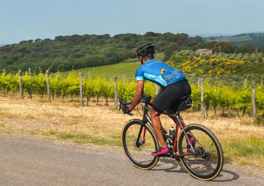 Guest biking past vineyard.