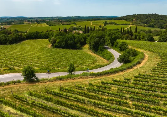 Two guests cycling down vineyard road towards villa.