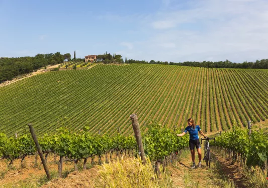 Wide shot of Italian grapevines, guest w/ bike.