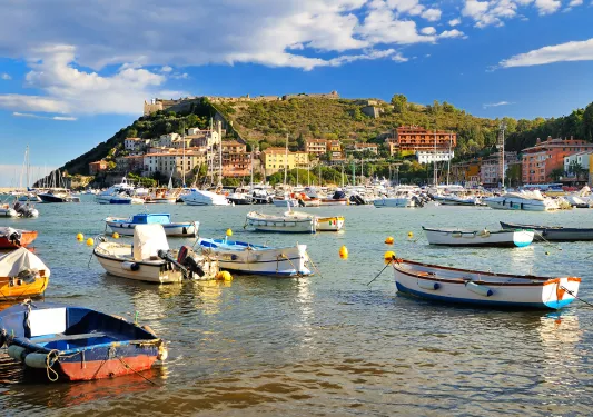 Shot of bay full of sailboats, colorful multi-tier housing on hillside in distance.