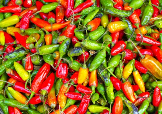 Red, yellow and green chili peppers